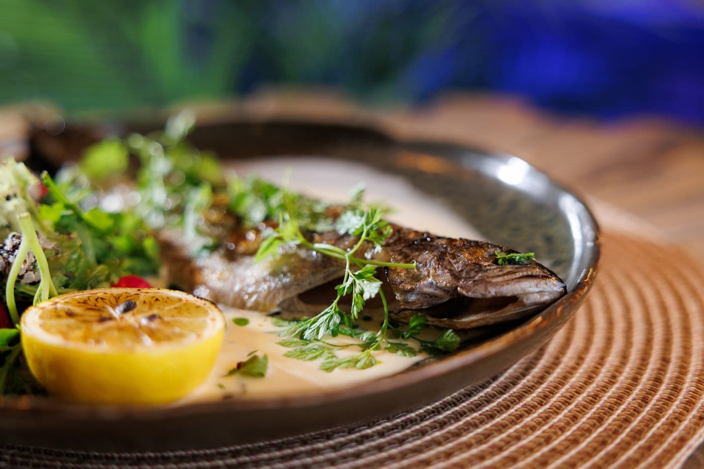 Grilled trout